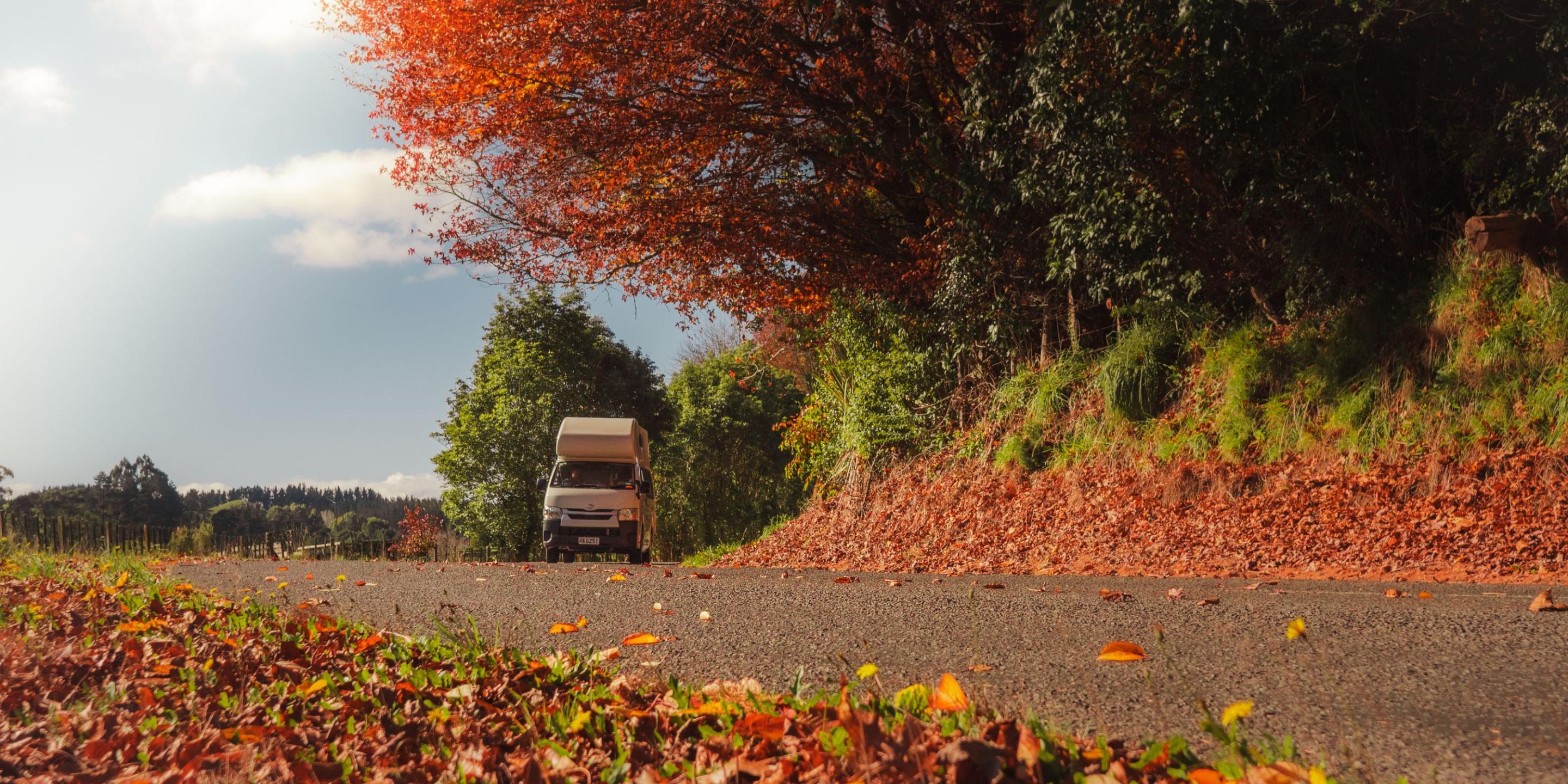 Lucky Rambler Campervan Hire New Zealand 4